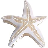 Funny Big Starfish Hair Clip,Acetate Hair Clip,Big Claw Clip for Women,White, 1 Count (Pack of 1)