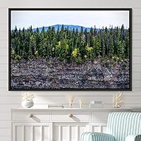 Framed Canvas Wall Art Greenlands Aerial Dark Farmhouse/Country Green Nature Photography Realism Relax/Calm - 16x24 inches