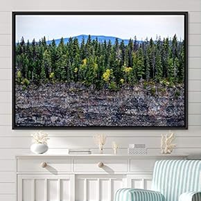 signwin Framed Canvas Wall Art Greenlands Aerial Dark...