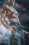 Terre de Castes tome 1: Rébellion (French Edition) by Ayleen Night, Marc Night