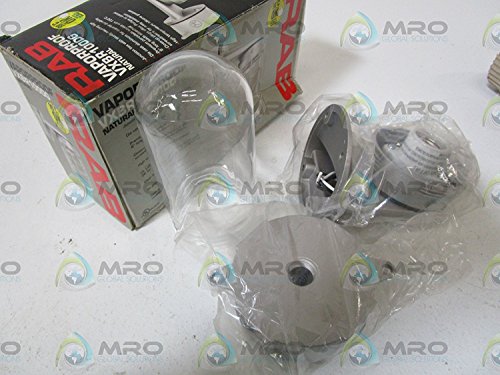 RAB Lighting VXBR100DG Vaporproof VXBR 4" Wall Bracket with Glass Globe and Cast Guard, A19 Type, Aluminum, 150W Power, 1/2" Hub, Natural - Thumbnail 3