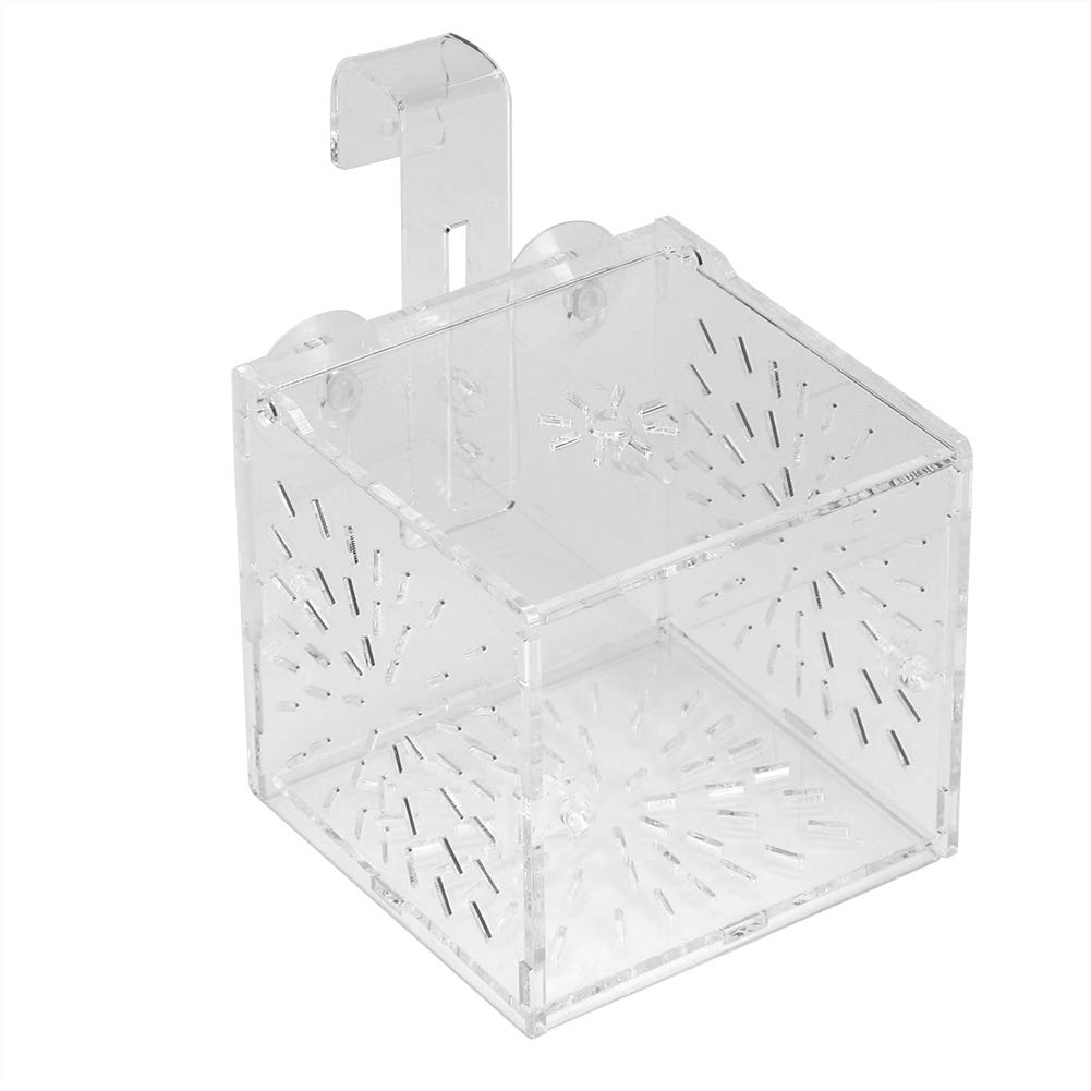 Fish Tank Breeding Isolation Box Aquarium Acclimation Hatchery Incubator Acrylic Transparent Aquarium Hatchery Incubator Holder(10CM*10CM*10CM)