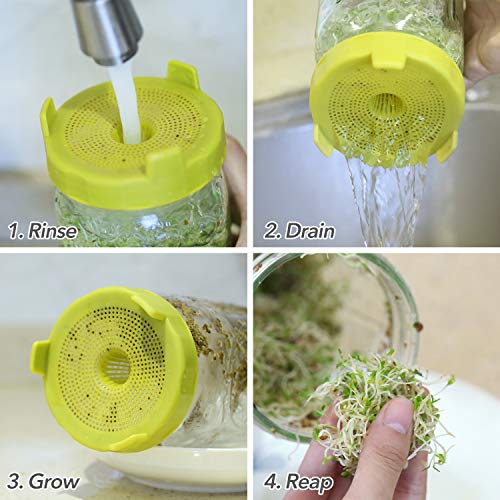 3 Soligt+Easy+Rinse+Drain+Sprouting