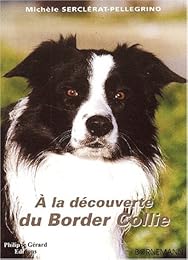 À la découverte du border collie
