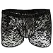 FEESHOW Men's Sexy Sheer Lace Boxer Briefs Transparent See Through Lingerie Sissy Underwear (Black, L (Waist 26.0-44.0