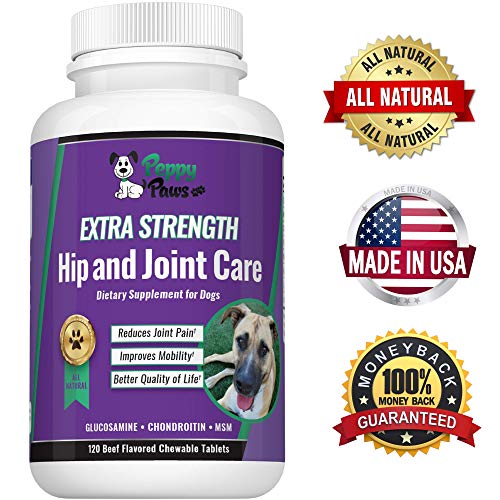 Buy Glucosamine Chondroitin for Dogs with MSM All Natural Hip and
