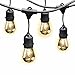 Feit 1179202 String Outdoor Lights