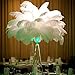 AWAYTR 20-22 inch (50-55cm) Natural Ostrich Feathers for Wedding Centerpieces Home Decoration,Flower Arrangement,DIY Christmas Decorations (10pcs,White)
