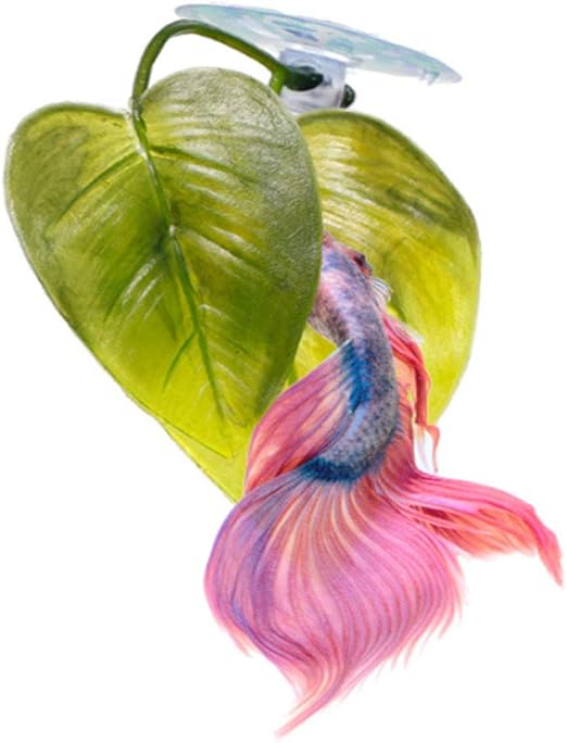 Amazon Com Betta Fish Accessories Betta Hamaca De Peces Betta Planta De Betta Planta De Hojas Para Betta Fish Acuarios De Peces Tropicales Y Acuarios De Peces De Agua Salada 2 Unidades Kitchen