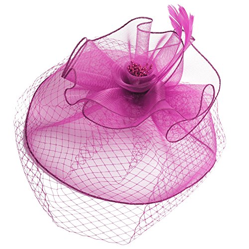 Lusiyu Fashion Women's Flower Feather Mesh Net Fascinator Hat (Rose red)