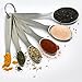 Stainless Steel Measuring Spoons Stackable - 6 pcs with FREE Flexible Mini Silicone Measuring Cup
