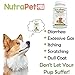 NutraPet Probiotics for Dogs Chewable, Digestive Health Supplement with Added Prebiotic, Vitamins and Minerals for an Active Lifestyle, 60 Tabs