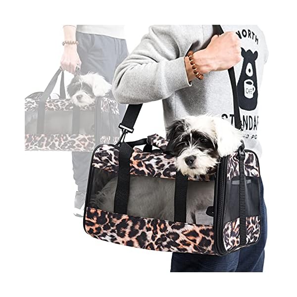 high end pet carrier