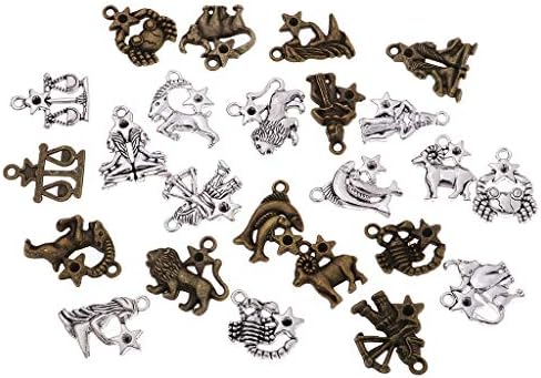 P Prettyia Jewelry Making Charms 24 Pieces Mixed Tibetan Silver Antique Bronze Horoscope Zodiac Charms Pendants DIY for Necklace Bracelet Jewelry Making Crafting
