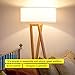 Brightech Z Modern Mid Century Home Standing LED Light Tripod Floor Lamp, Wood