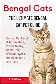 types of bengal cats