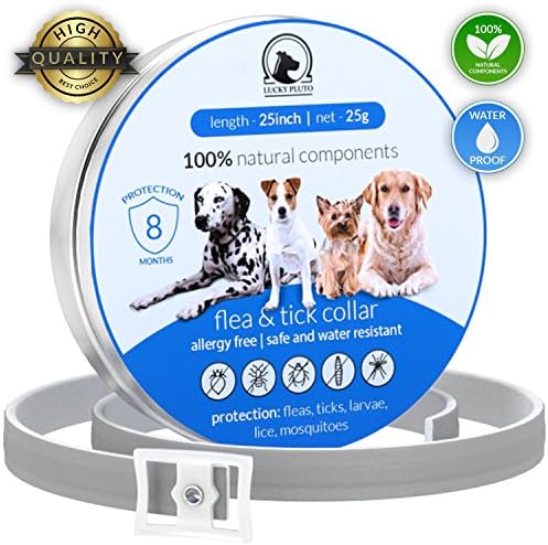 Flea Tick Collar Prevention Control for Dogs - 8 Months - Natural Herbal Non-Toxic Adjustable Flea Collar Waterproof Protection for Large Medium Small Pet Supplies Repels Fleas Lice Ticks Mosquitoes