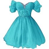 Hübsche hochzeit A-line Appliques Tulle Homecoming Dresses for Women, Short Prom Dresses Cocktail Dress Off The Shoulder