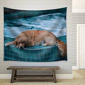 Dog Lying on The Edge of a Bath Pool - Fabric Wall Tapestry Home Decor - 51x60 inches