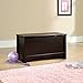 Sauder Shoal Creek Storage Chest, Toy Storage Chest for Living Room, Storage Trunk, in Jamocha Wood