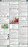 2020 (Spanish) Virginia State and Federal Labor Law Poster - Laminated 27