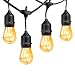 MZD8391 [Heavy Duty 48FT Commercial Grade Waterproof Outdoor Globe String Light, 18 Hanging Socket, 21 Dimmable Edison Vintage Bulb, for Backyard Patio, Garden