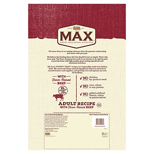 Nutro Max Beef Dog Food - Image 2