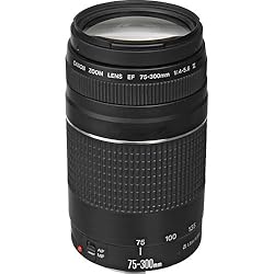 Canon EOS Rebel T7 DSLR Camera with 18-55mm