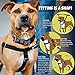 2 Hounds Design Freedom No-Pull Dog Harness Training Package with Leash, Medium (1