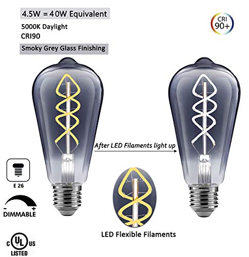 FLSNT Vintage LED Edison Light Bulbs,5000K Daylight,4.5W(40W Equivalent),Dimmable,ST21/ST64,E26 Base,160LM,CRI90,Smoky Grey Glass Finishing,6 Pack (White Lighting,Not Grey)