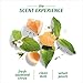 Herbal Essences Biorenew White Grapefruit & Mosa Mint Dry Shampoo, 4.9 FL OZ