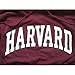 New York Fashion Police Harvard University Hoodie Sweatshirt Arched Block Maroon - S