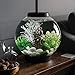 biOrb CLASSIC 15 Aquarium with LED – 4 gallon, Blackthumb 1