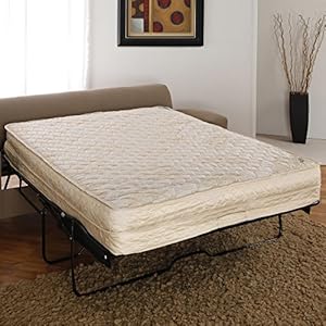 Image Result For Sleeper Sofa With Mattress Pad