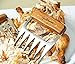 GASTRONOMO Metal Meat Claws With Stainless Steel Bear Shredder Paws for Shredding, Pulling, Handling Chicken, Pulled Pork, Turkey & Brisket - Wooden Handle BBQ Meat Shredders