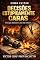 Livro Como Evitar Decisões Estupidamente Caras: Erros que destroem e como não cometer