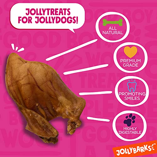 JollyBarks Premium 6 Inch Whole Pig Ears for Dogs, All Natural Dog