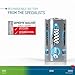 Ansmann 5030642-590-1 Rechargeable D Batteries 10.000mAh maxE ready2use NiMH Professional D Battery pre-Charged Power Accu for Flashlight (6-Pack)