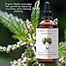 Laritelle Organic Loss Prevention for Men/Women, Prevents Shedding, Promotes New Healthy Hair Growth and Scalp Health, Rosemary/Lemongrass/Ginger/Cedarwood, 4 oz.
