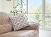 TreeWool Trellis Accent Spring Summer 18x18 Set of 2 Decorative Throw Pillow Covers 100% Cotton Home Decor Pillowcases for Sofa Couch (Silver Gray)