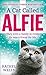 A Cat Called Alfie (Alfie series, Book 2)