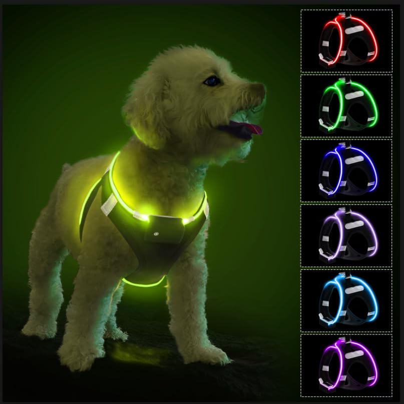 Light Up Dog Harness with Rechargeable LED - Waterproof Reflective Dog Harness Glow in the Dark - Flashing Harness for Puppy Small Medium Dogs Walking in Light, Black-M — image 1