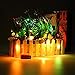 LRCXL Set of 10 Wine Bottle Cork Lights - 18inch/ 47cm 10 LED Silver Wire String Starry LED Lights for Bottle DIY Wedding Centerpieces Graduation Party Engagement Decorations(Warm White)
