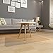 SLYPNOS Chair Mat for Hard Floors, Transparent Hard Floor Protector with Non-Studded Bottom, BPA and Phthalate Free, 48x 30 Inches Rectangular