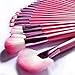 Ecvtop 22 Count Professional Cosmetic Makeup Make up Brush Brushes Set Kit with Leather Pouch (Pink)