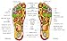 Kendal Shiatsu Foot Massager - Intensity Adjustable Deep Kneading, Rolling, Air Pressure Massage, Heating Function to Relieve Foot Discomforts Stress and Stimulate The Circulation of Blood