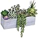 Supla Pack of 6 Assorted Artificial Succulents Plant Picks Textured Faux Succulent Pick Succulent Stems Fake Succulent Bouquet String of Pearls Succulent Faux Succulent Floral Arrangement Accent