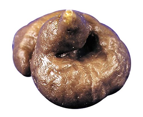 Dog Dunit Mini Poodle Fake Poop Gag Prank