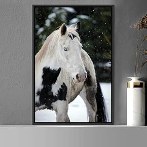 signwin Framed Canvas Wall Art Horse Animals Dramatic...
