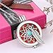 SHUFSunk Aromatherapy Necklace Case Essential Oils Diffuser Hollow Pendant DIY Locket Box